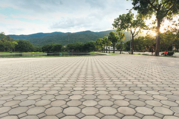 Best Brick Driveway Pavers  in Iona, FL
